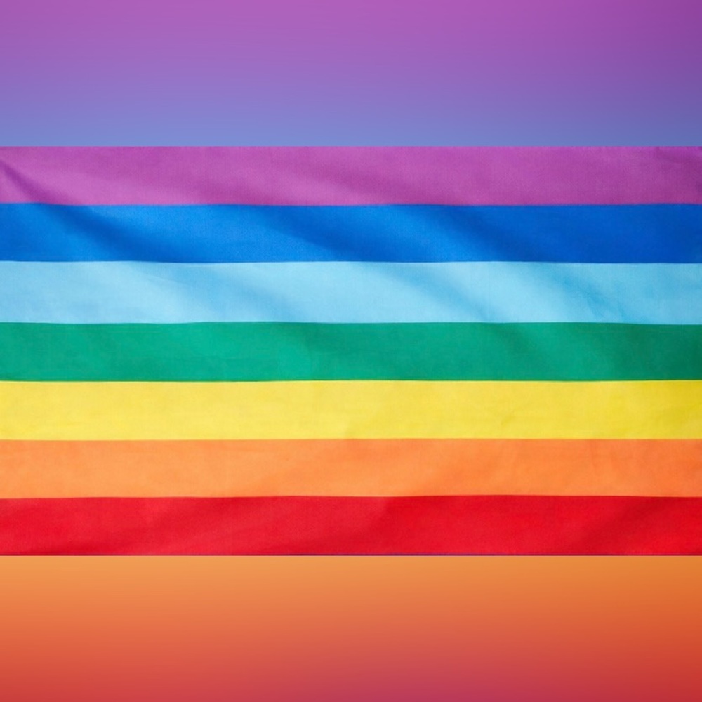 NWT True Colors 3 x 5 ft True Rainbow Pride Flag 🏳️‍🌈